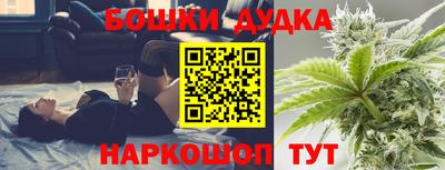 МДПВ Партизанск