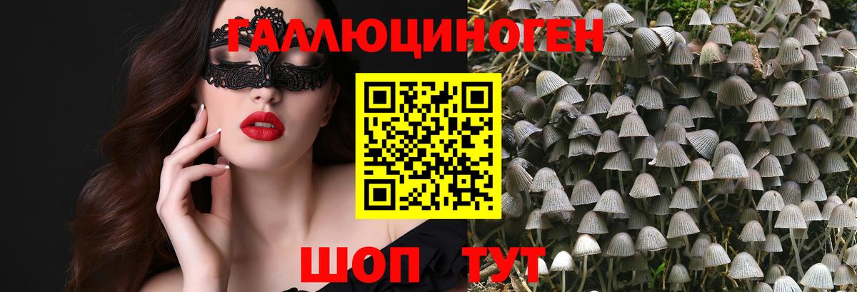 Рассказово  Галлюциногенные грибы Cubensis  Вход с VPN 